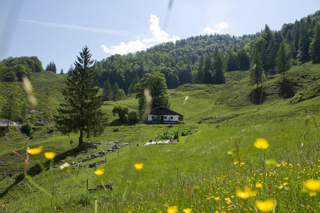 Noichl'S Hotel Garni Sankt Johann in Tirol Room photo